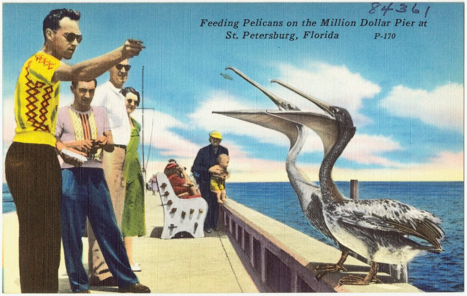 156682_10151108286781546_811718820_n